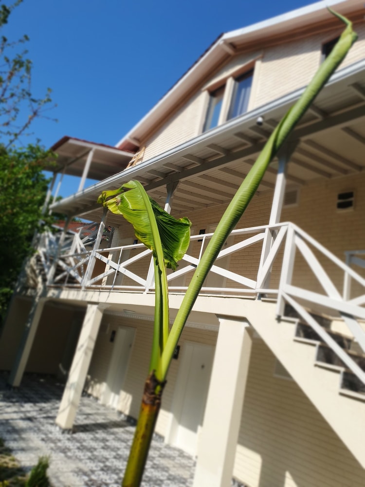 Kadifeli Konak Boutique Hotel 2/27