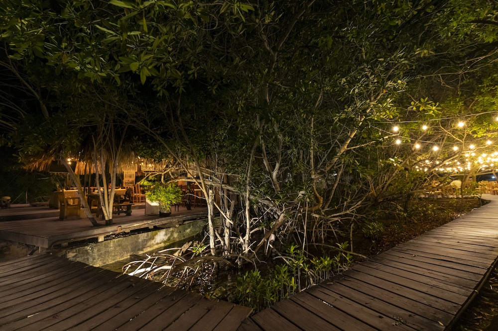 Hotel Coralina Island 29/50