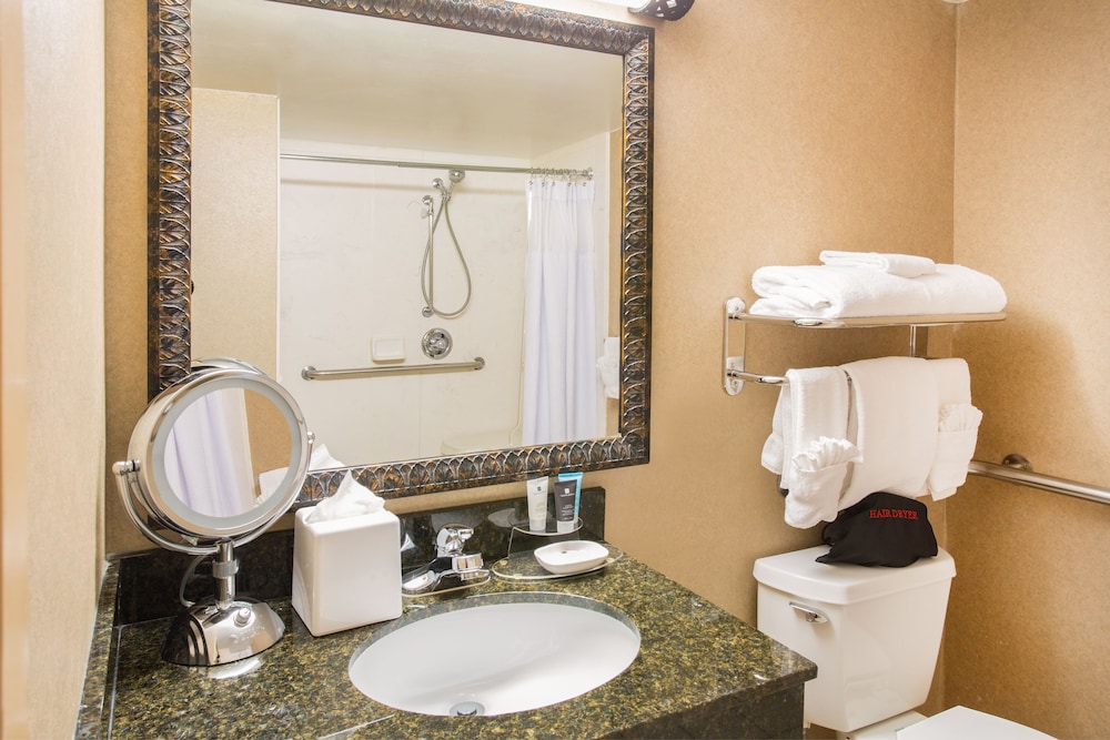 Crowne Plaza Denver Airport Convention Ctr, an Ihg Hotel 11/41