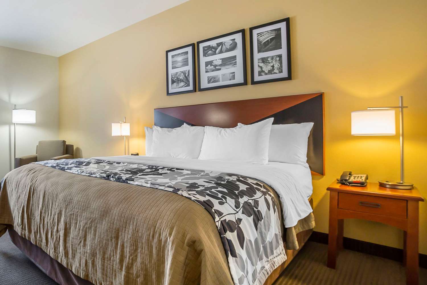 Sleep Inn and Suites Douglas, WY 7/39