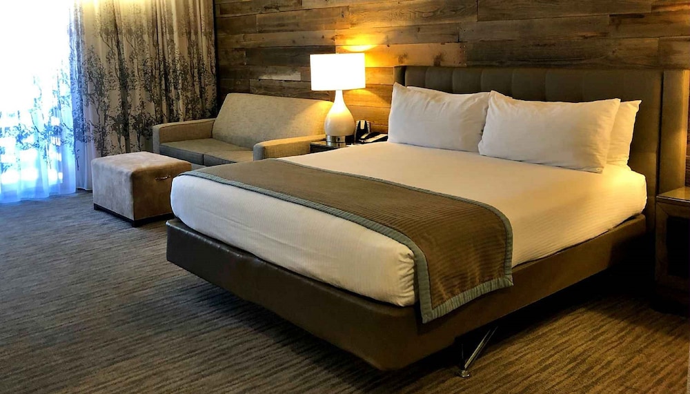 Room, King Bed, Accessible