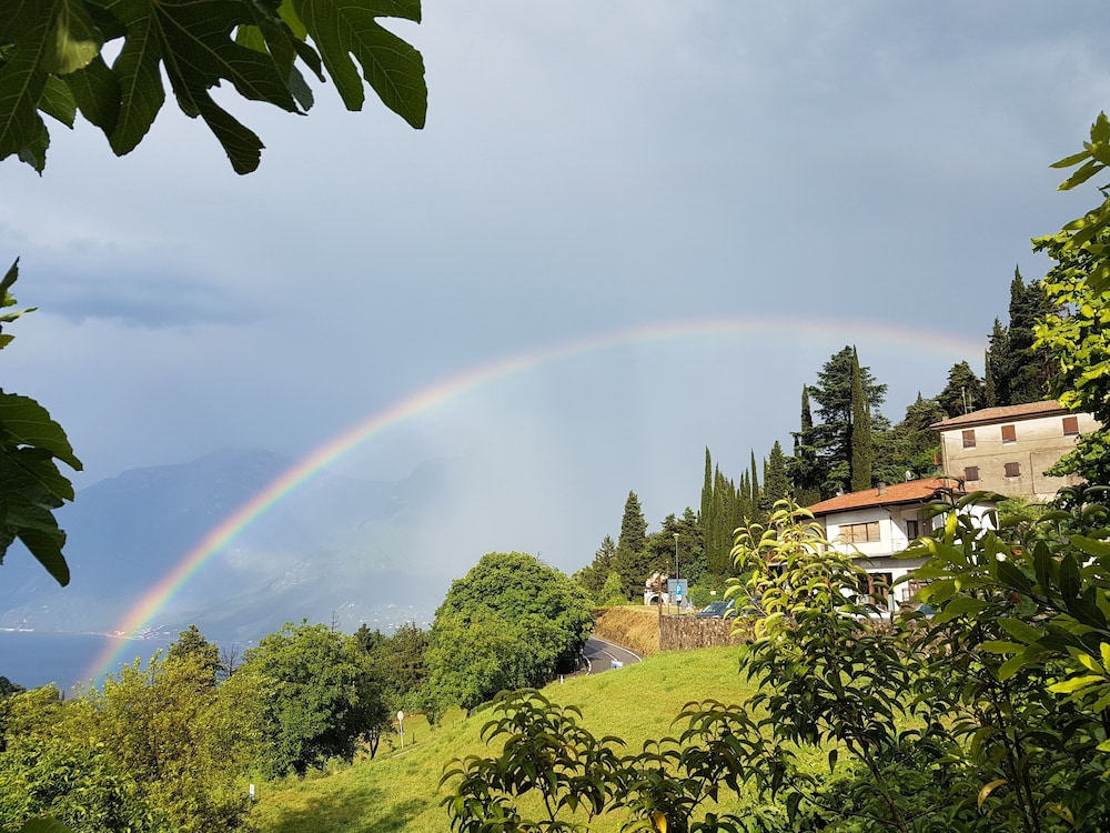 Stella D'oro 27/43