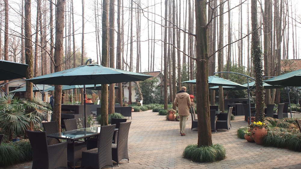Lotus Glade Hotel 40/50
