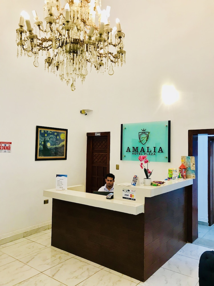 HOTEL PLAZA AMALIA 4/26