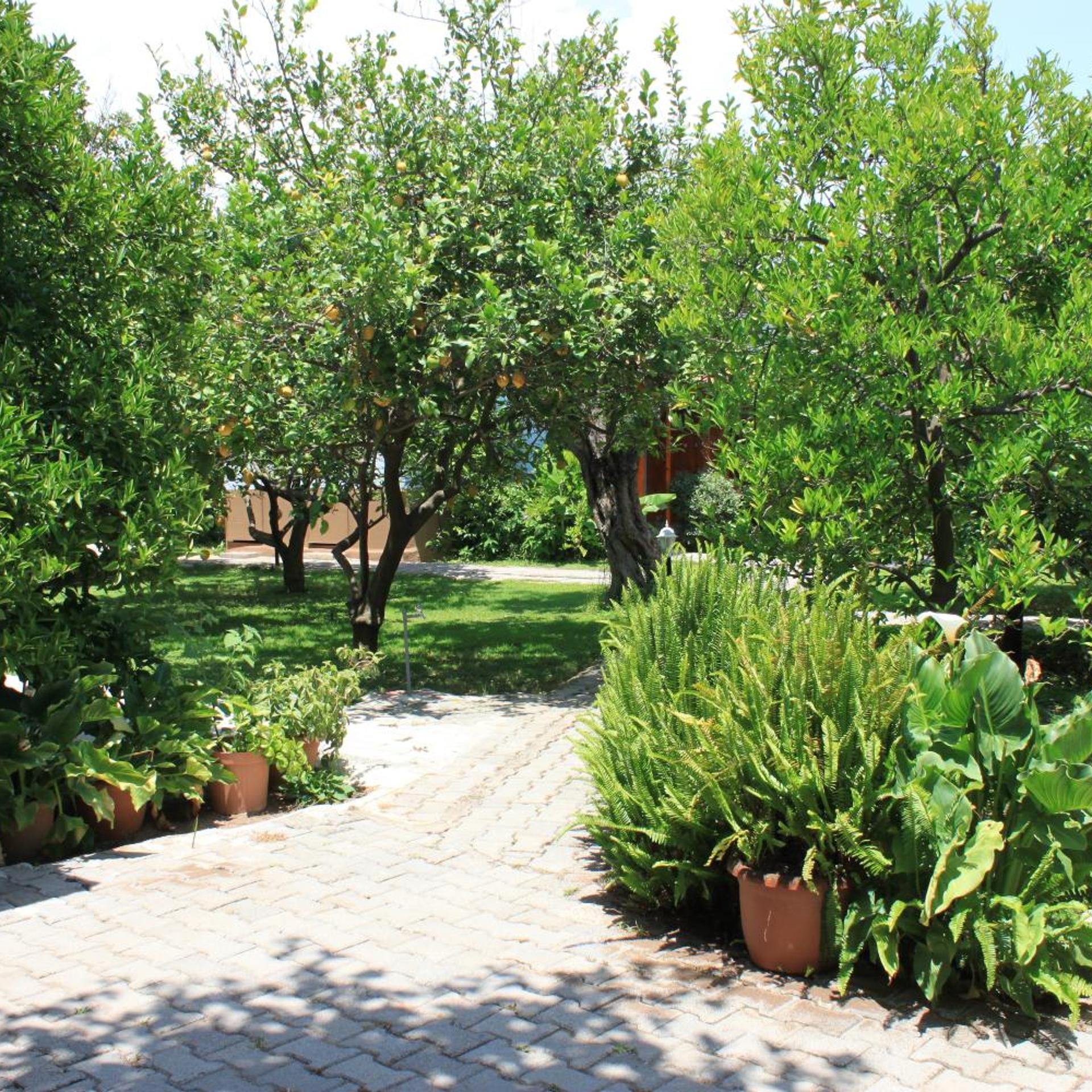 Yildiz Pension Bungalows 43/50