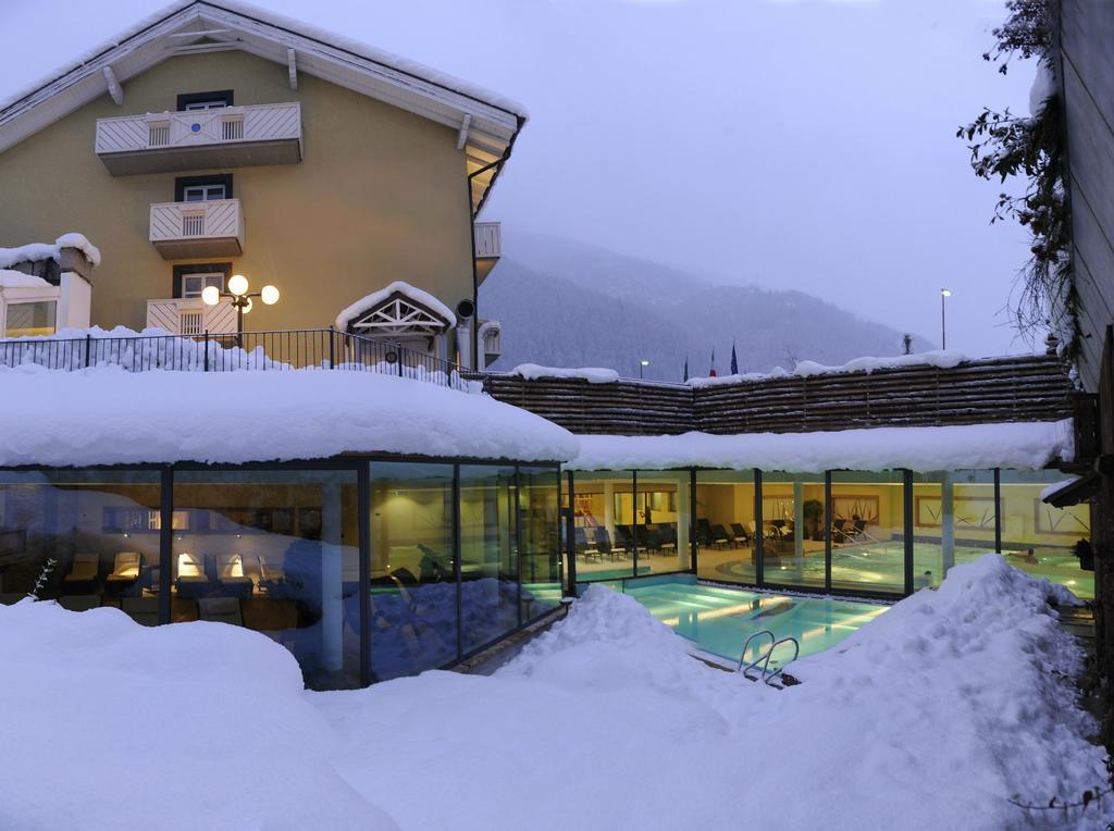 Alp Holiday Dolomiti 4/29
