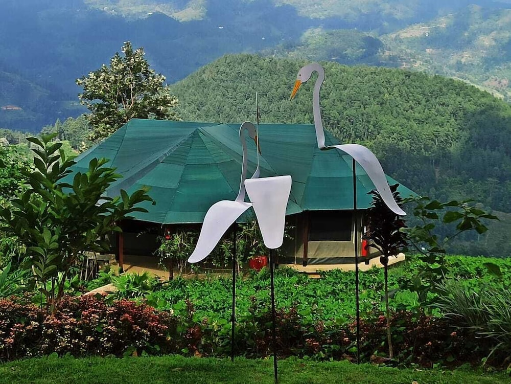 Madulkelle Tea And Eco Lodge 21/43