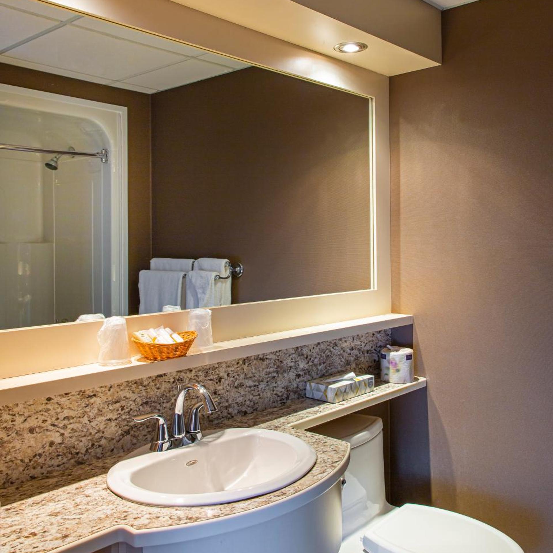 Standard, King Bed, Hotel L Oiseliere Montmagny 7/8
