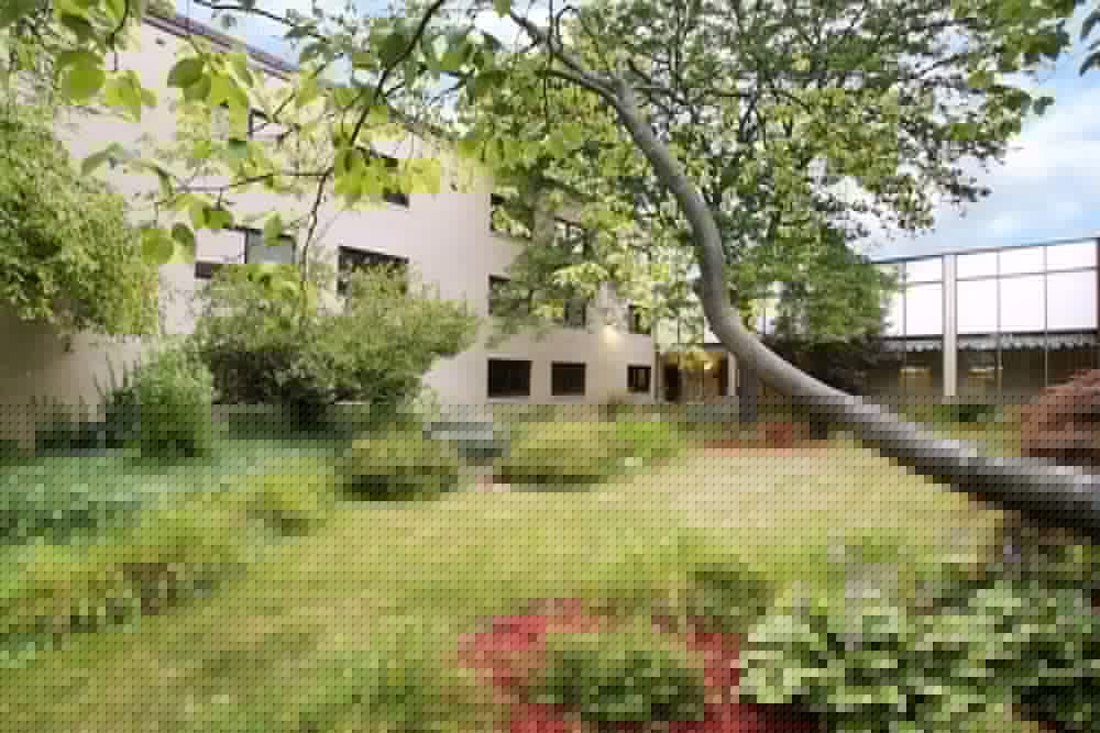 surroundings