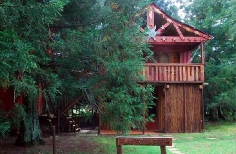 Sycamore Avenue Treehouses 40/50