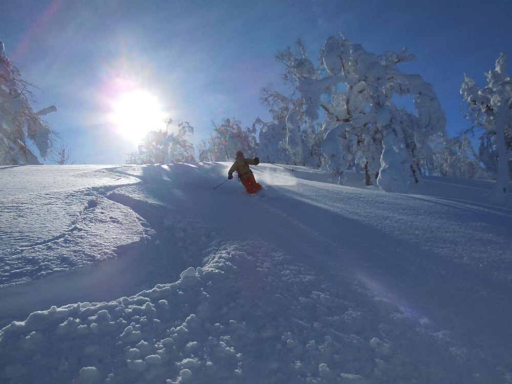 Asahidake Onsen Yumoto Yukomansou 38/50