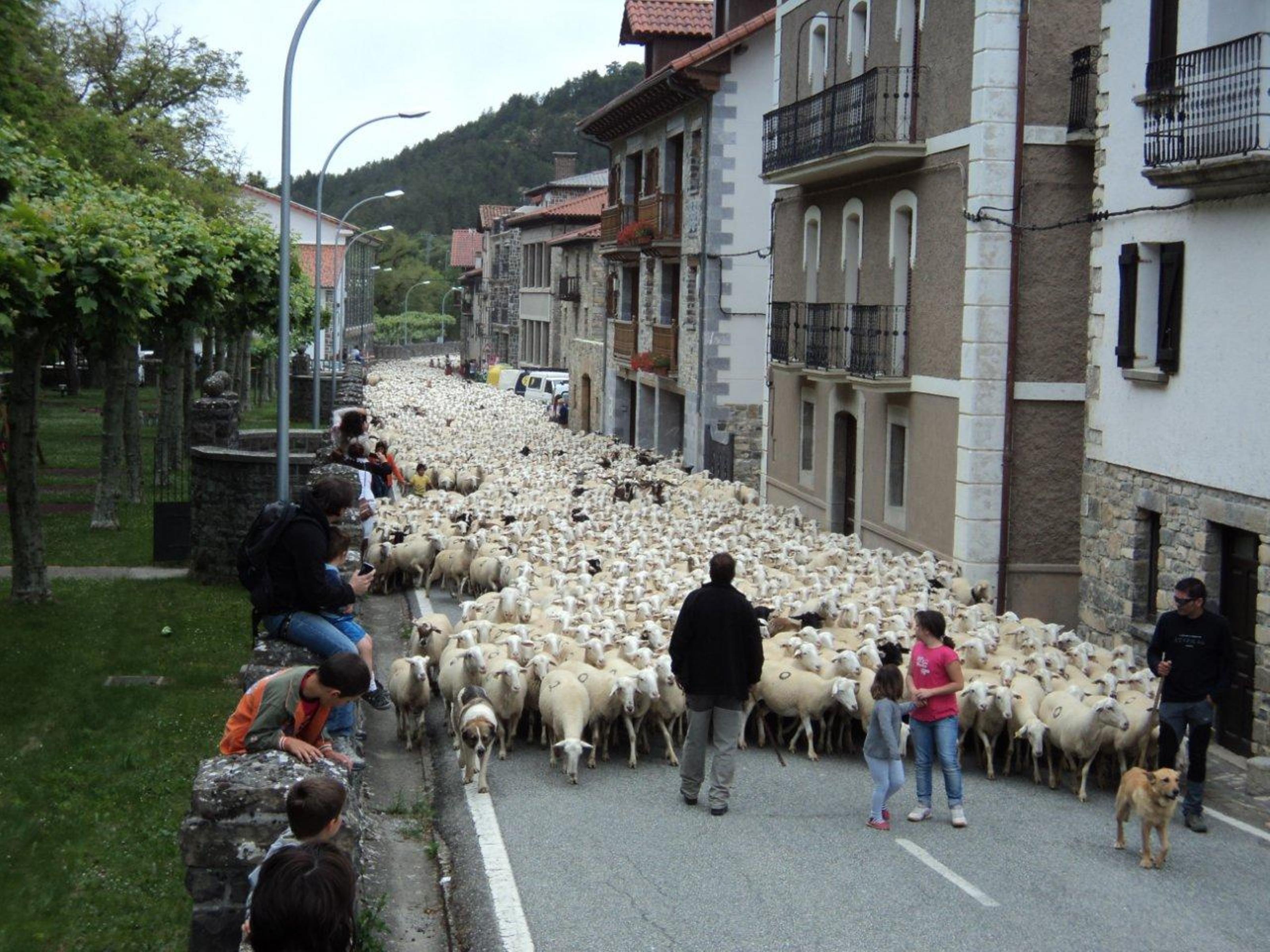 SNO Isaba 40/50