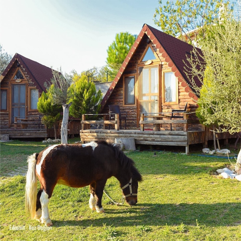 Ida Natura Life Style Otel Kazdaglari 10/70