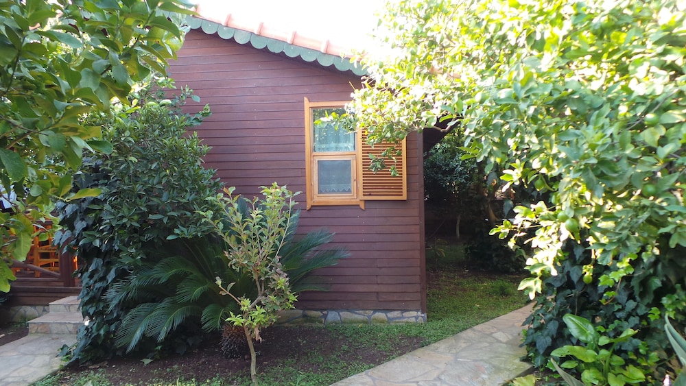 Mercan Bungalow酒店(Mercan Bungalow) 图片1