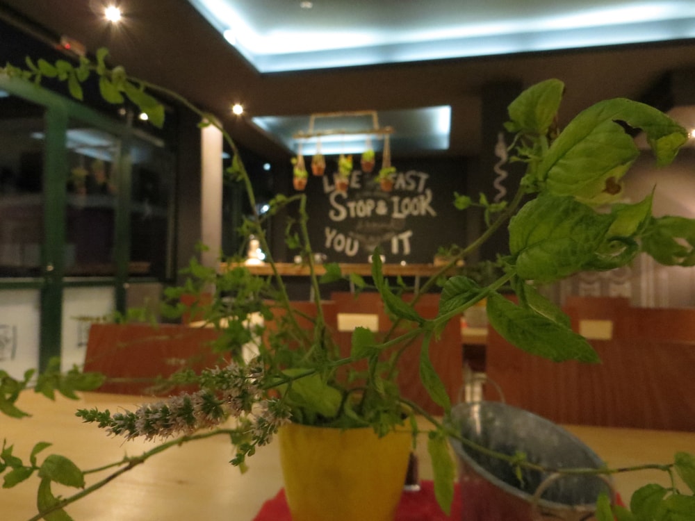 Leonidaion Guest House 35/41