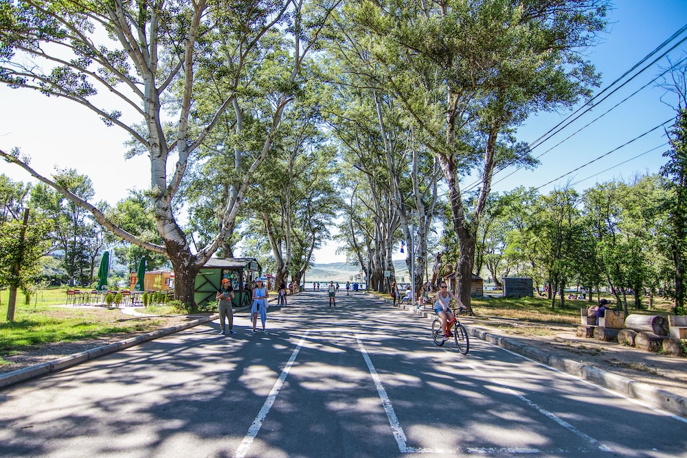 Lisi Hills Hotel 39/50