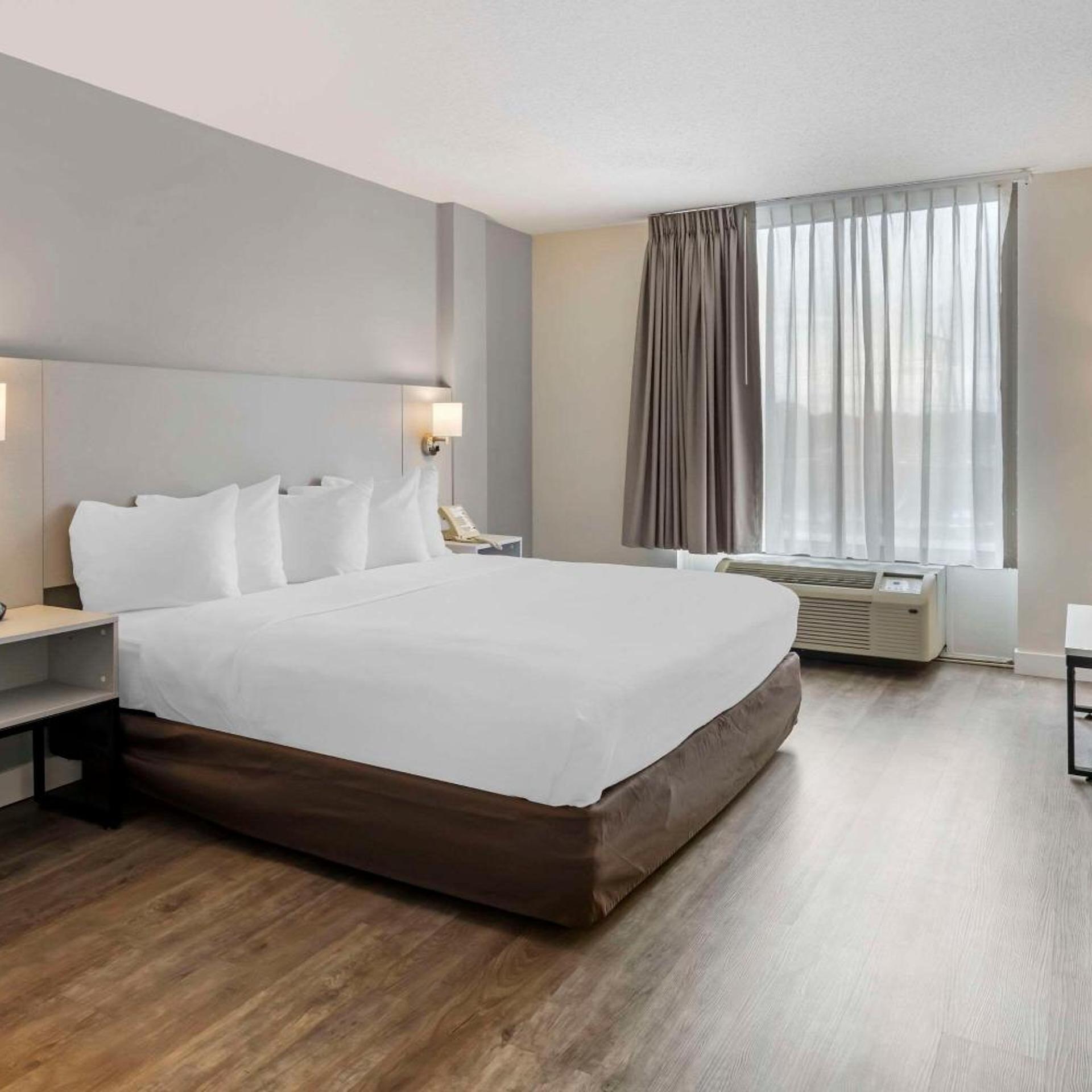Efficiency, Suite, King Bed