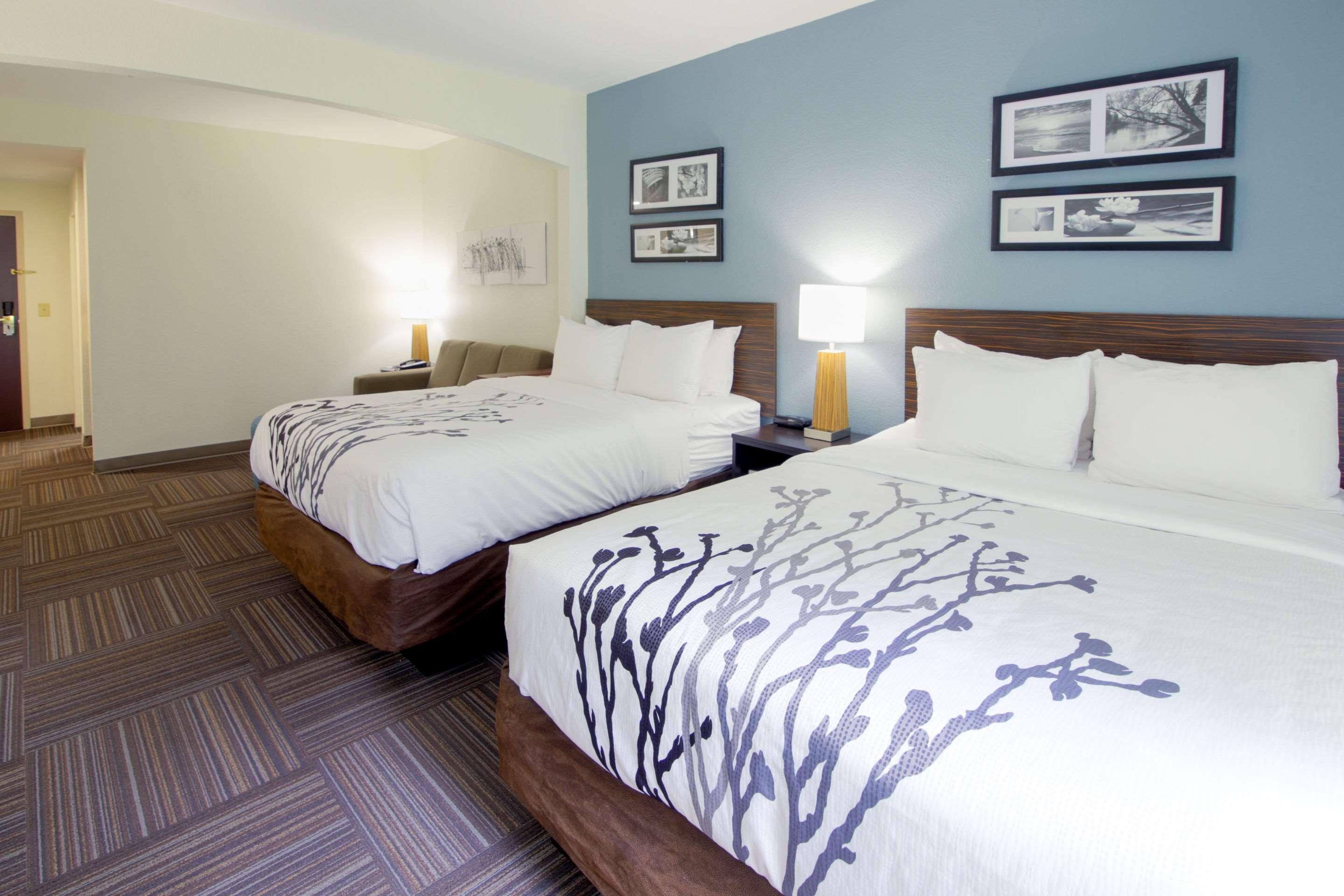 SUITE, 2 QUEEN BEDS