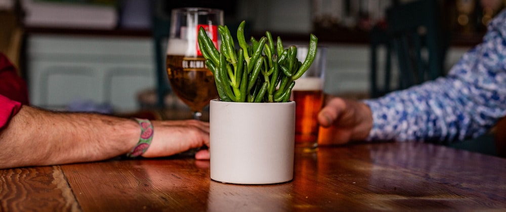 The Cricketers Inn 14/42