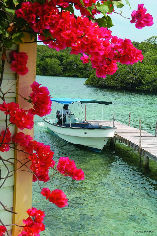 Punta Caracol Acqua Lodge Bp 33/45