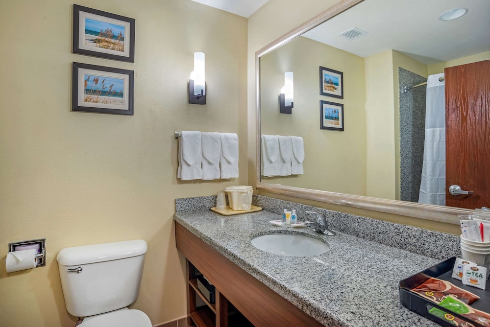 Comfort Suites Foley - North Gulf Shores 22/26