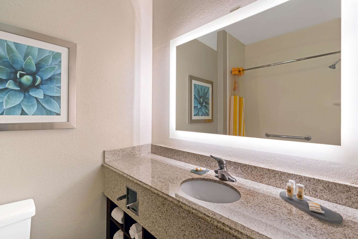 La Quinta Inn and Suites Phoenix I-10 West 43/50