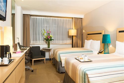 غرفة ديلوكس مفردة بسرير مزدوج