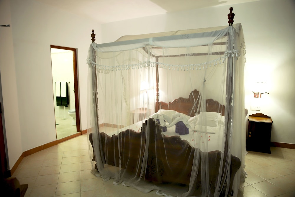 Hotel Bougainvilla 19/50