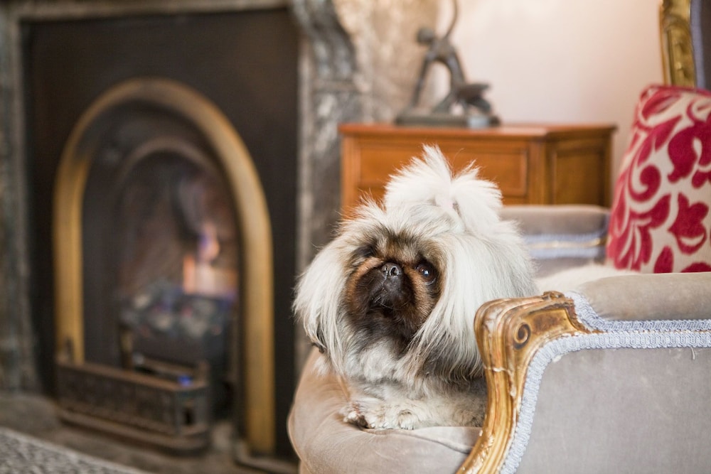 The Hughenden Boutique Hotel 48/76