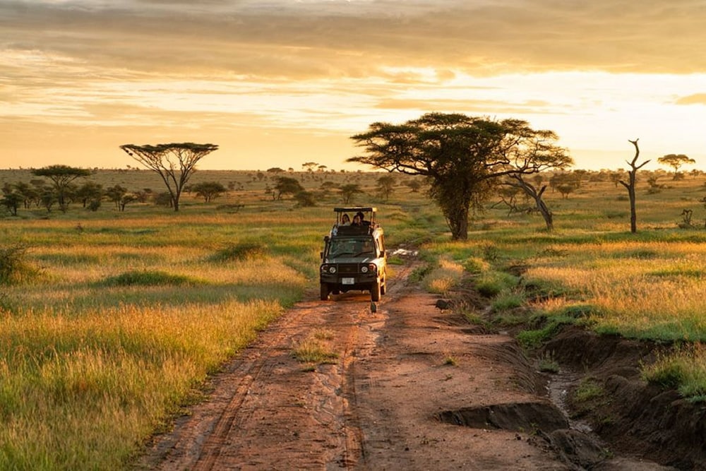 Pumzika Classic Safari Camp 46/54