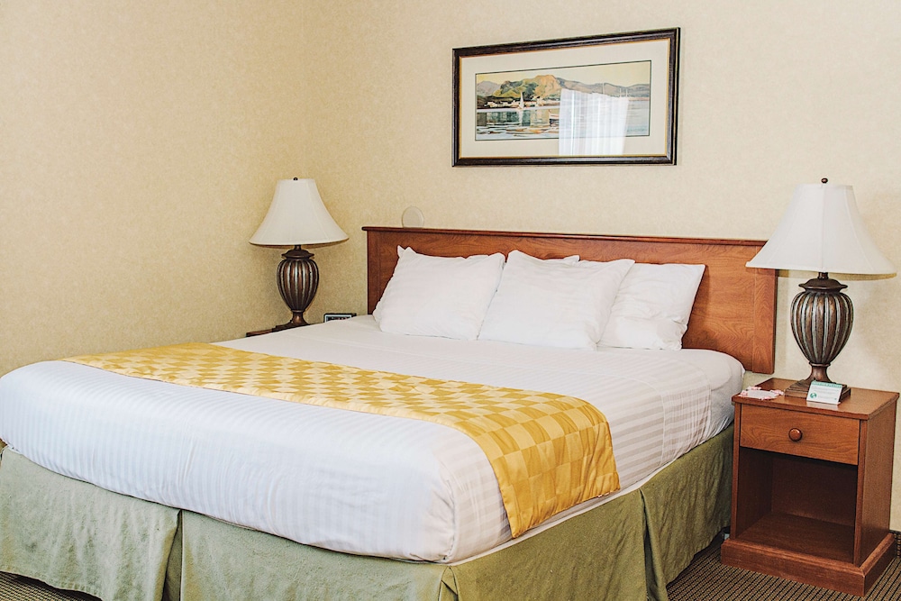 Guesthouse Bellingham 13/26