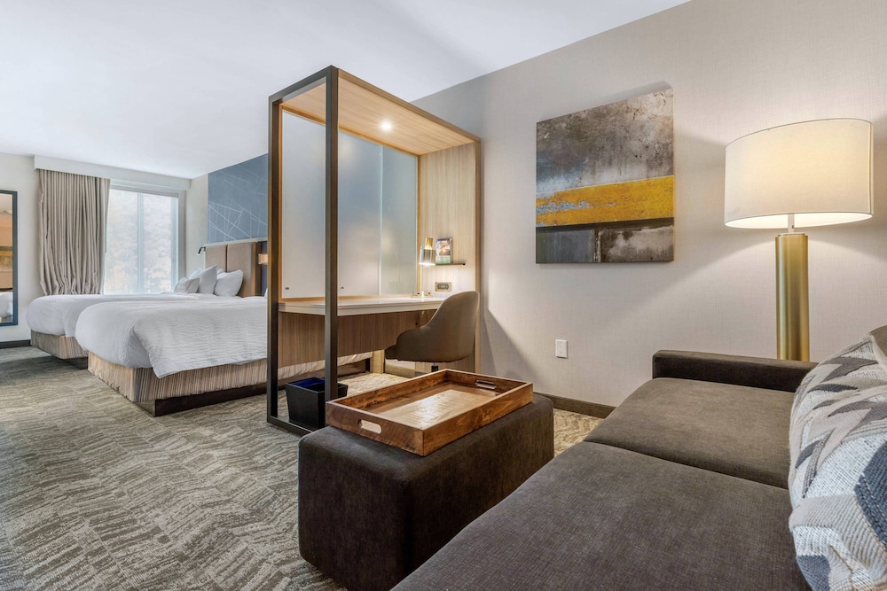 Springhill Suites By Marriott Charlotte Southwest 32/49