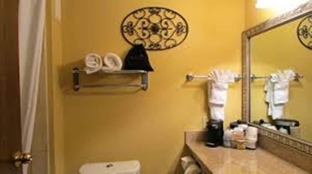 Best Western Plus Southpark Inn & Suites 21/39