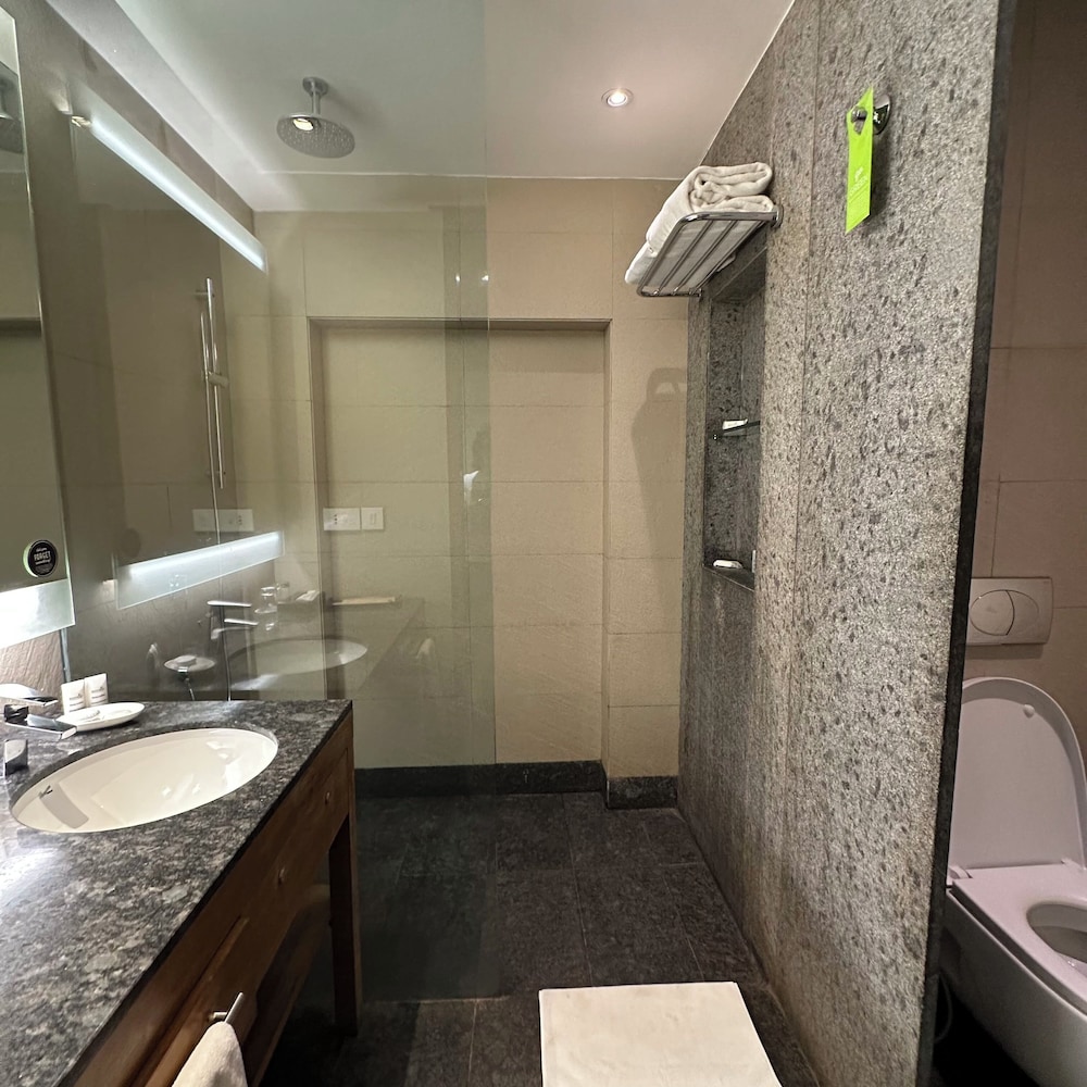 HYATT PLACE HAMPI 76/78
