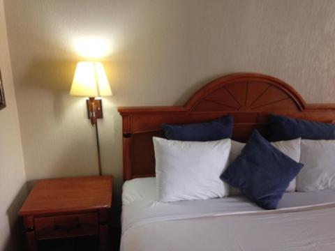 市中心霍比套房酒店(Downtowner Inn and Suites Hobby) 图片2