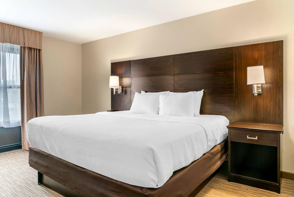 Suite, 3 Queen Beds