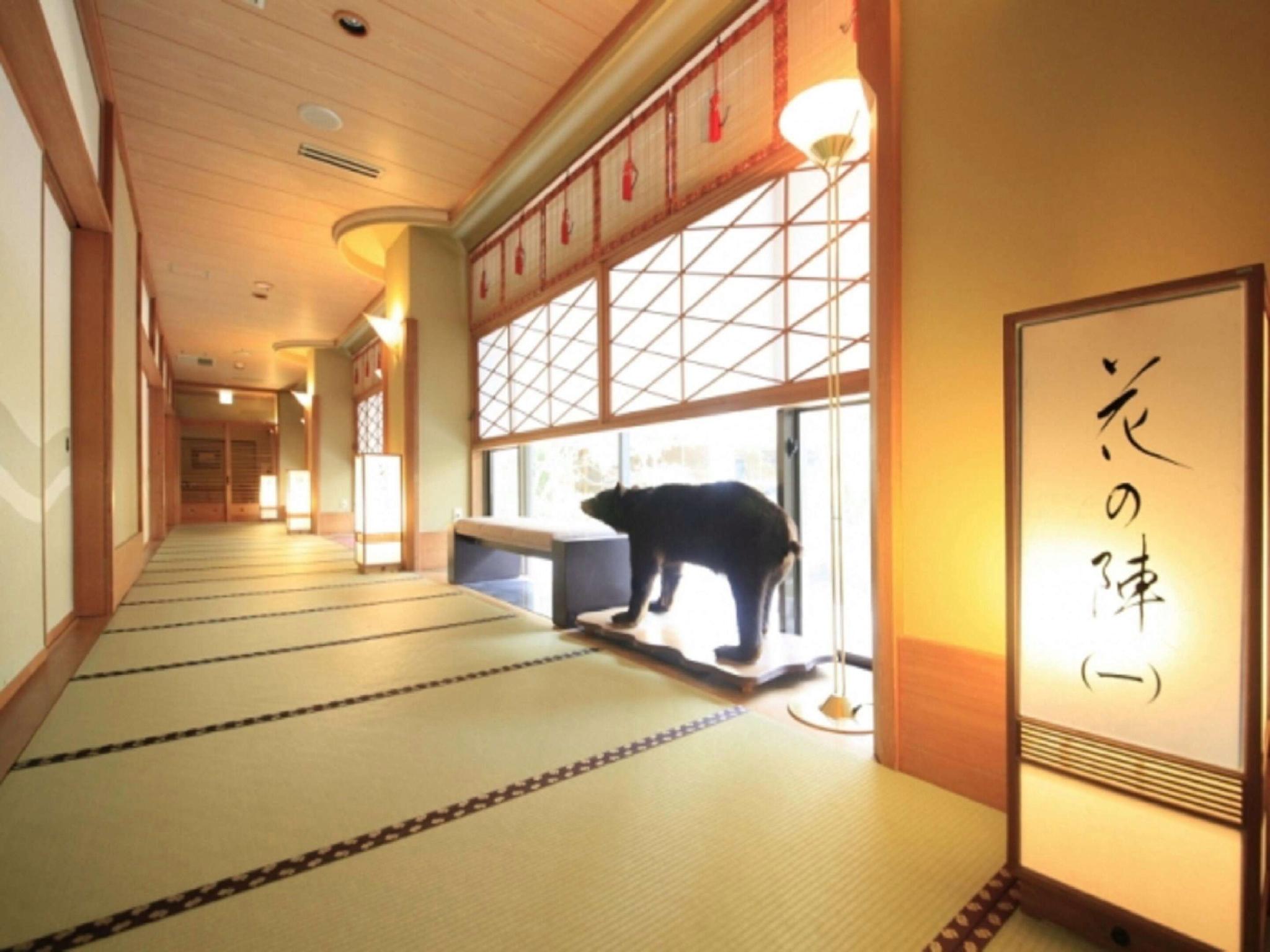 Shingenkan 17/30