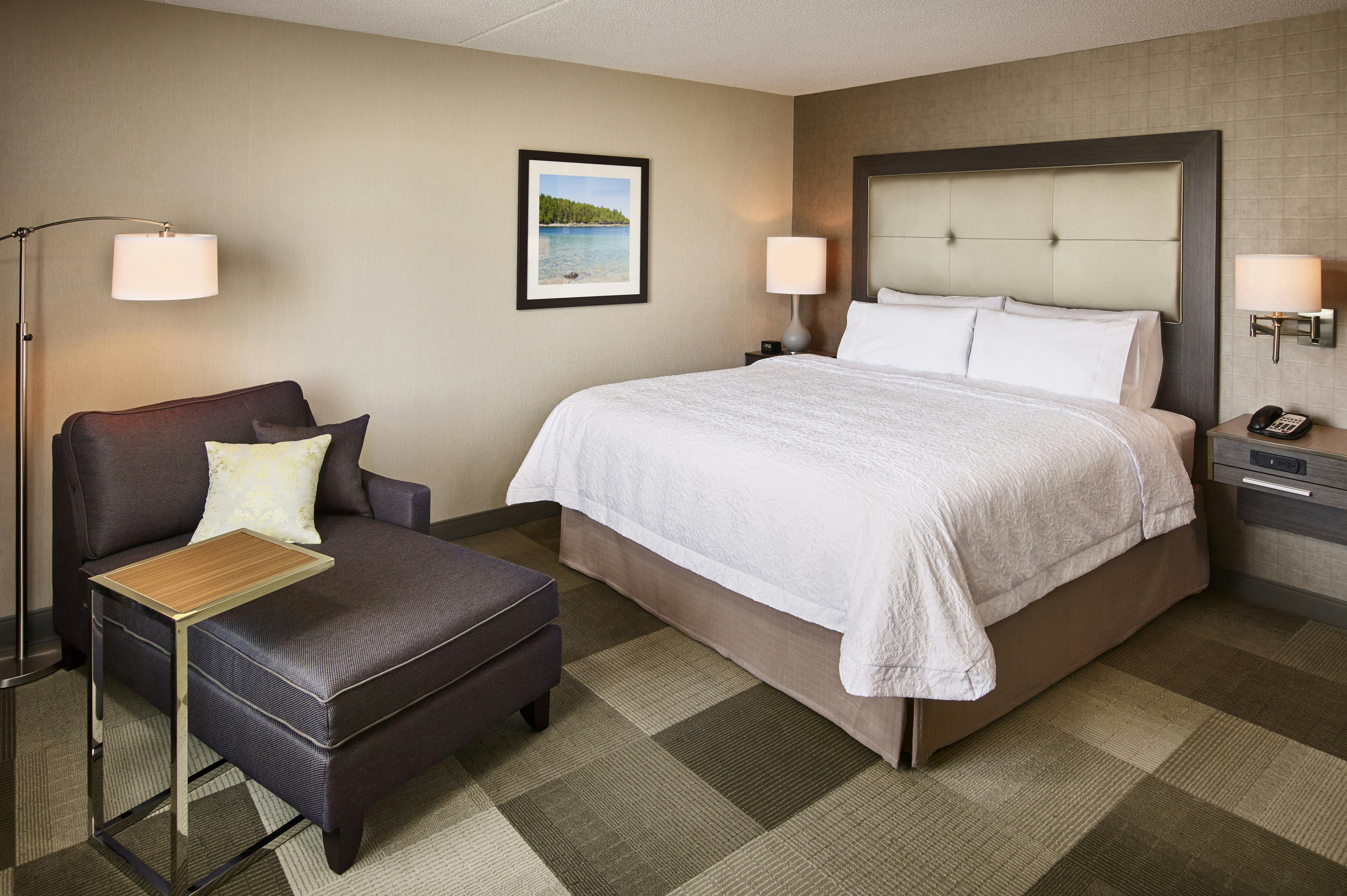 Room, King Bed