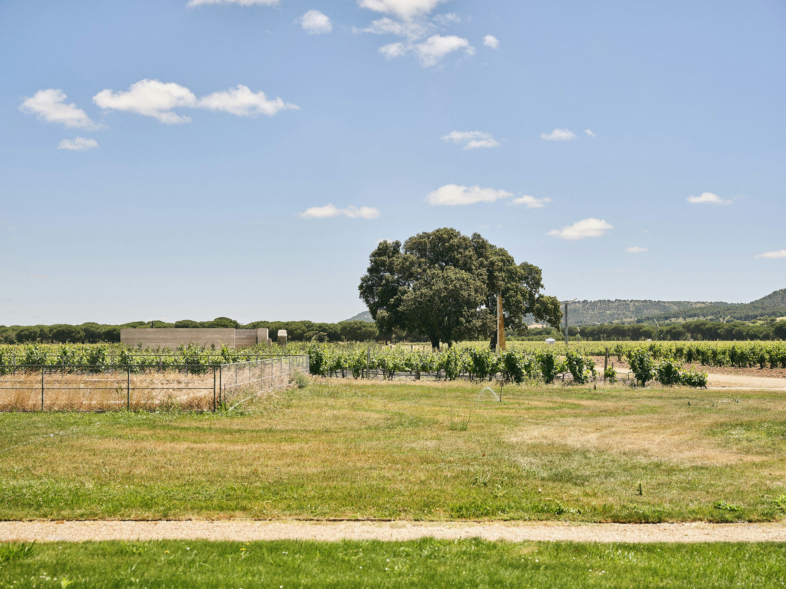 Abadia Retuerta LeDomaine 44/50