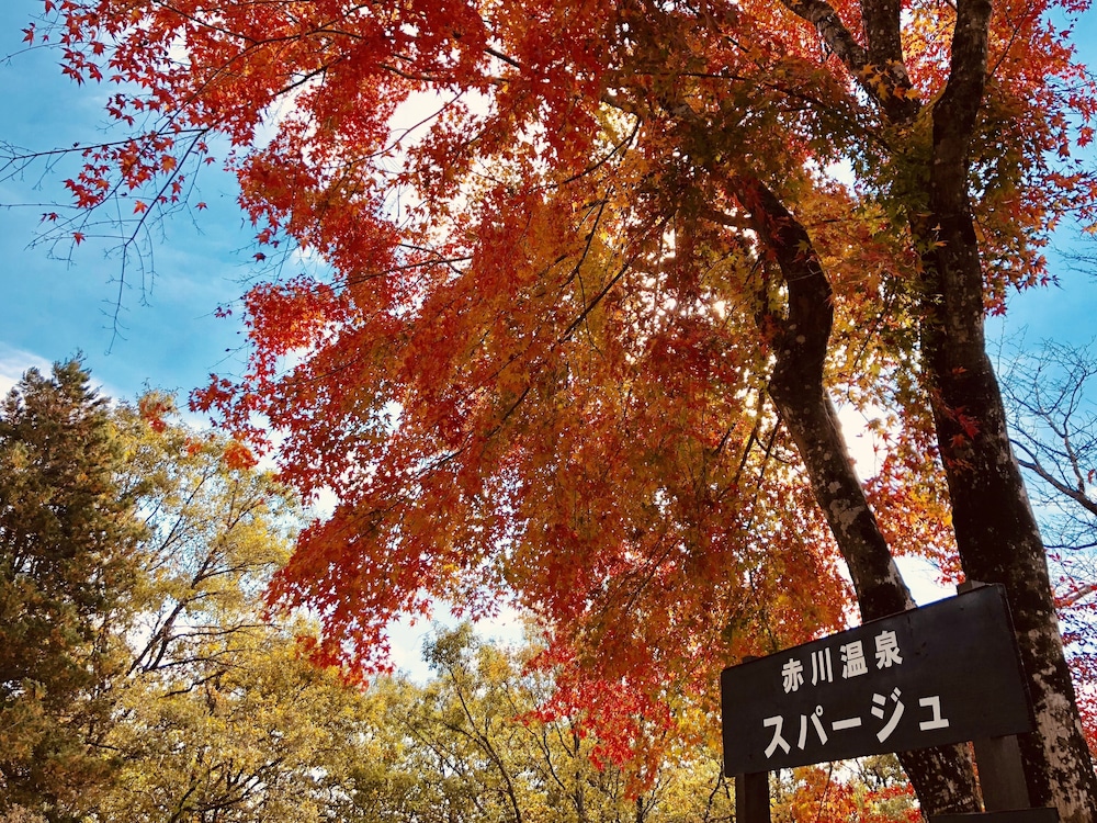 Akagawa Onsen Spaju (Aso Kuju National Park) 46/50