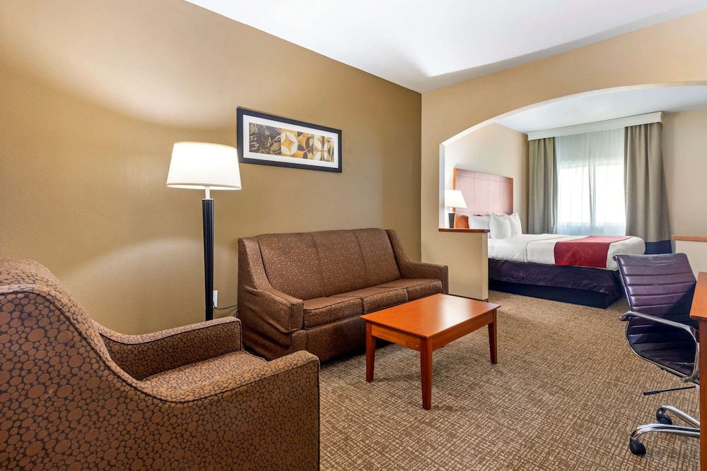 Comfort Suites North Dallas 26/31