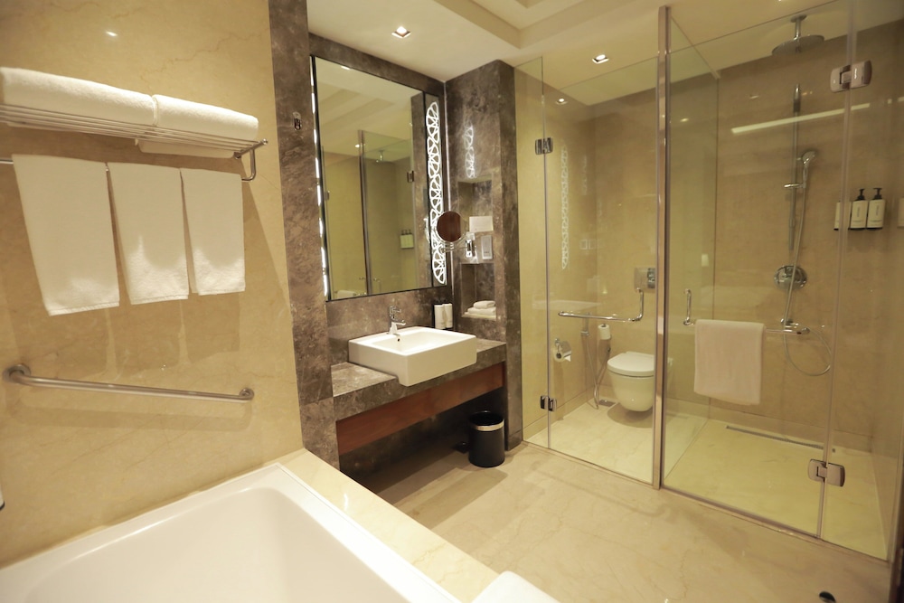 Crowne Plaza Rohini 72/73