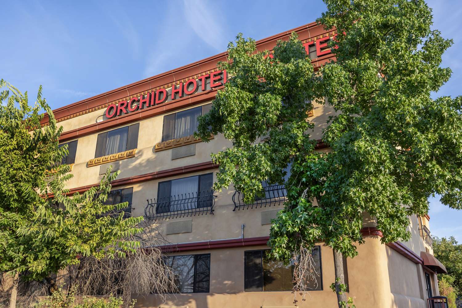 Best Western Plus Orchid Hotel & Suites 2/59