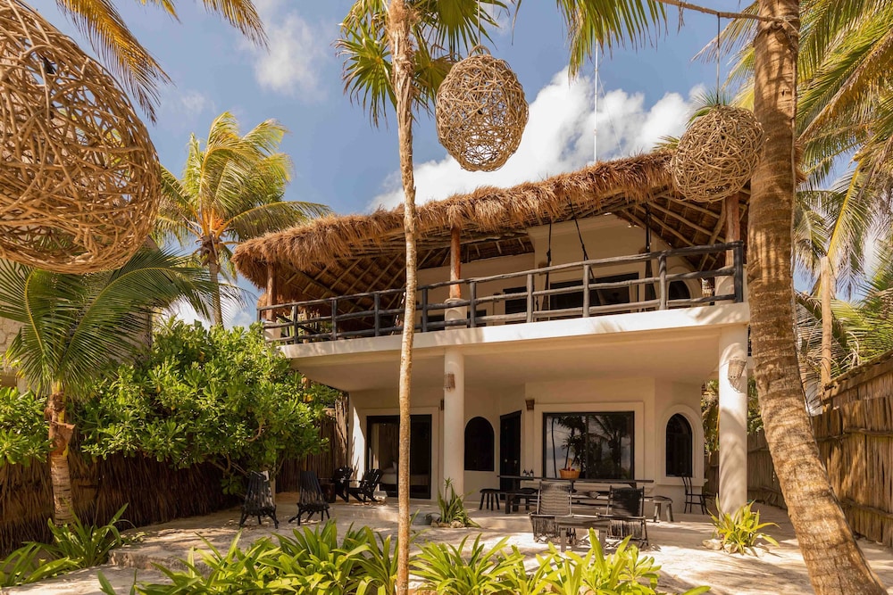 NEST Tulum 2/50