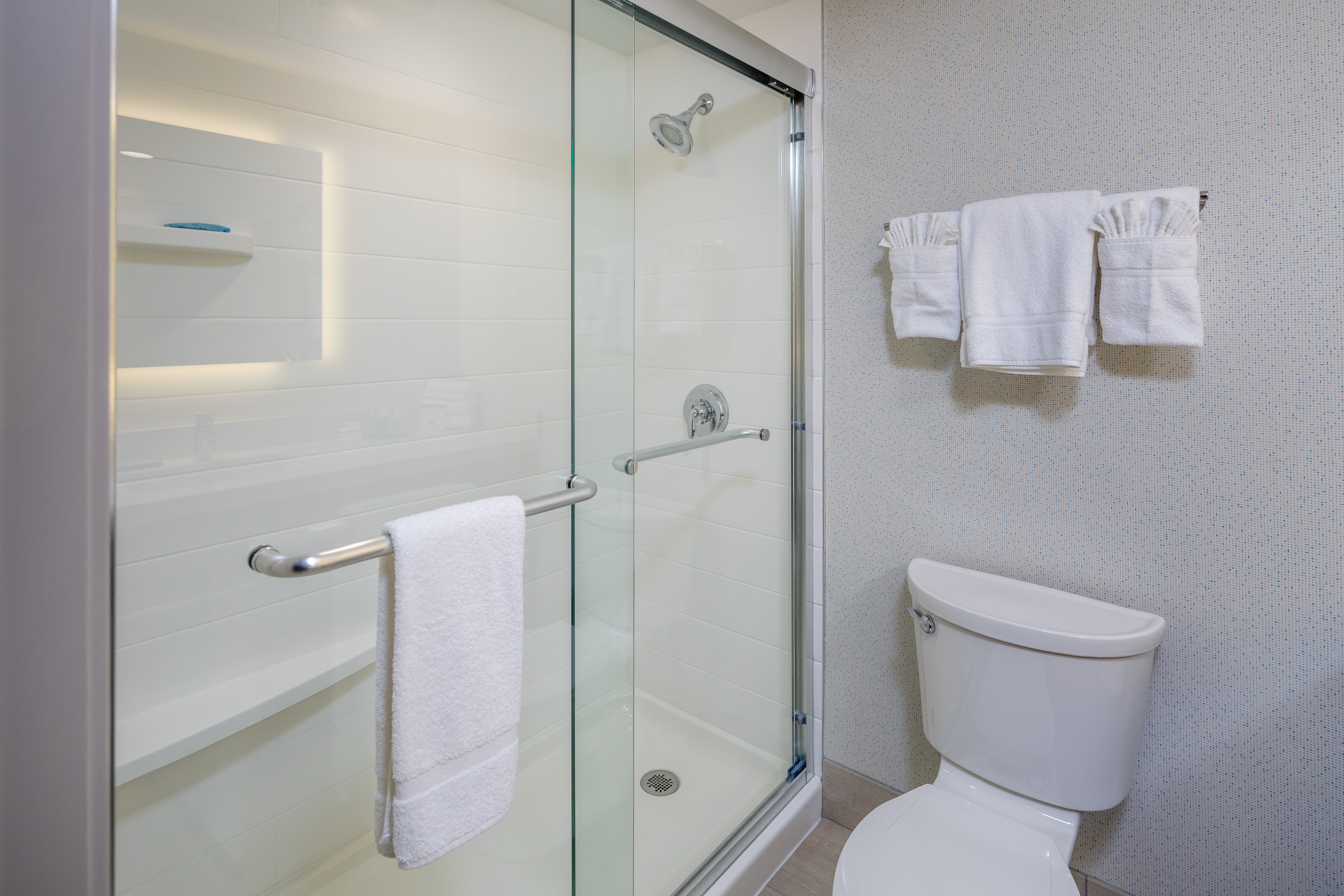 HOLIDAY INN EXPRESS SUNNYVALE - SILICON VALLEY 67/78