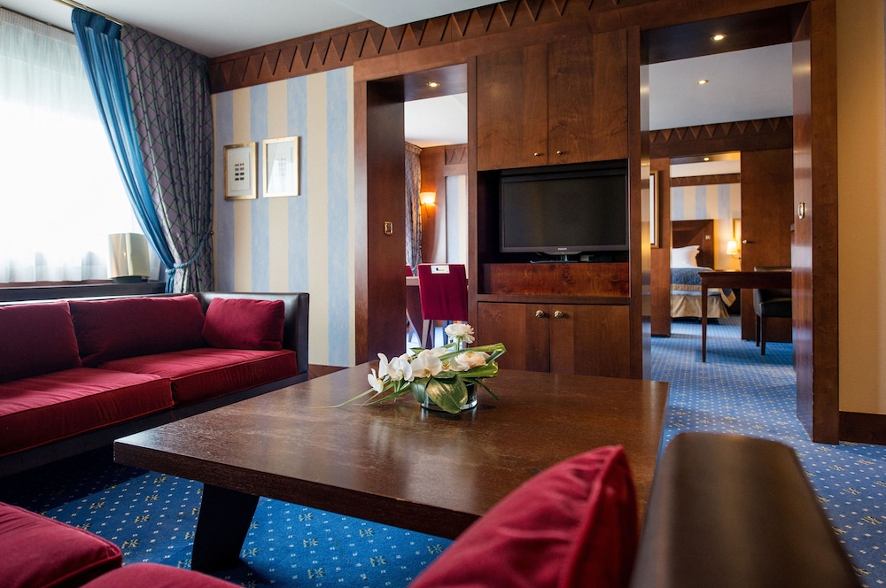 Sofitel Lyon Bellecour Hotel 48/71