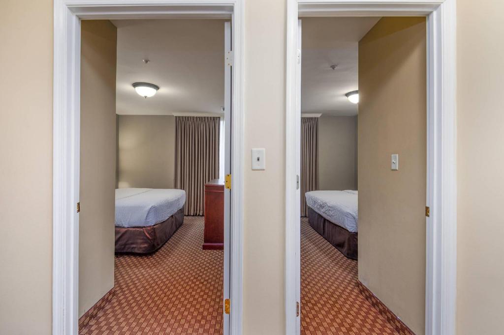 Upgrade, Suite, 2 King Beds