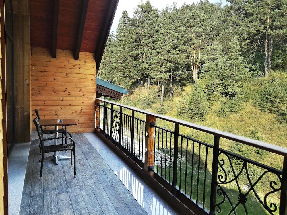 Hot Springs Medical & Spa Hotel 29/34