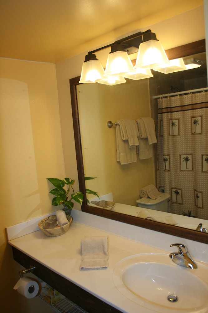 غرفة سوبيريور بسرير كينج بإطلالة على البحر، Hotel On The Cay 8/10