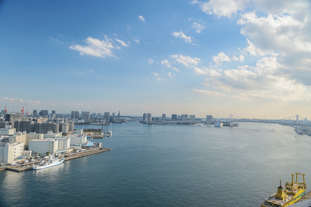 Bayside Hotel Azur Takeshiba 36/43